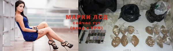 spice Волоколамск