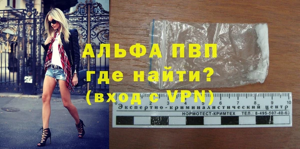 стаф Волосово