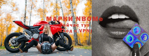 стаф Волосово