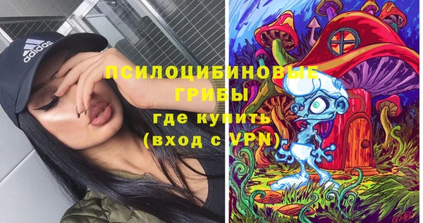 spice Волоколамск