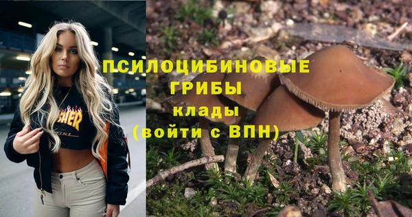 spice Волоколамск