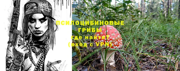 дживик Верхний Тагил