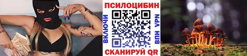 Псилоцибиновые грибы GOLDEN TEACHER  продажа наркотиков  Каргополь 